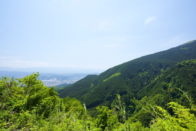 PXT00004164534501.jpg